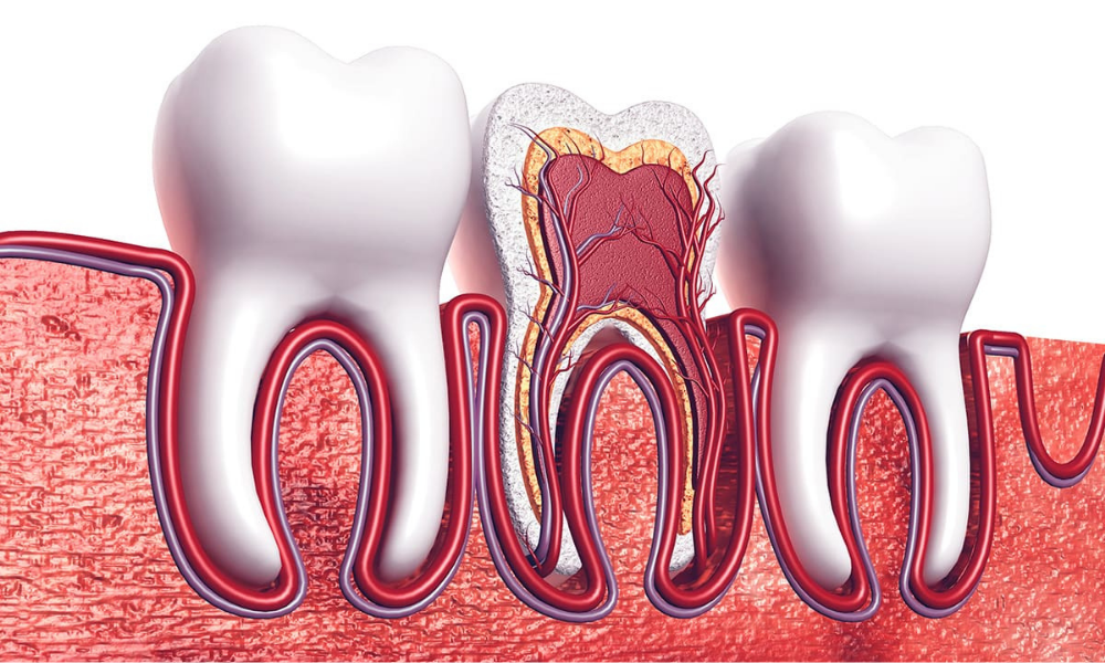 Kök Kanal Tedavisi - Endodonti 